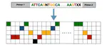 Gene Expression Prediction Using Deep Learning